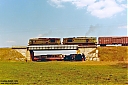2014-08-03_14.jpg