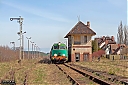 IMG_0222-1.jpg