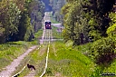 IMG_0569-1.jpg