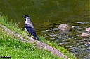 Nazwa pliku=IMG_0870-1.jpg
Wielkość pliku=994KiB
Rozmiar=1200x800
Data dodania= 02, Czerwiec 2019 IMG_0870-1.jpg