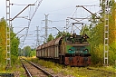IMG_1582-1.jpg