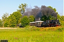 IMG_1917-1.jpg