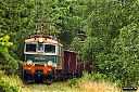 IMG_1958.jpg