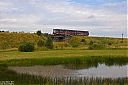 IMG_2409a.jpg