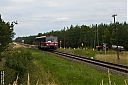 IMG_2429a.jpg