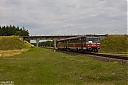 IMG_2449a.jpg