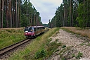 IMG_2484a.jpg