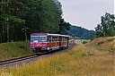 IMG_2530a.jpg