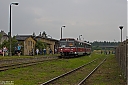 IMG_2533a.jpg