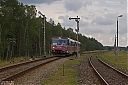 IMG_2597a.jpg
