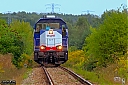 IMG_2704-1.jpg