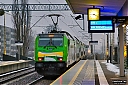 IMG_2803.jpg