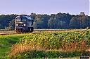 IMG_2968.jpg