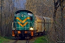 IMG_2985-1.jpg
