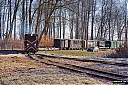 IMG_3295.jpg
