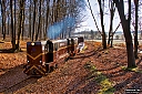 IMG_3341.jpg