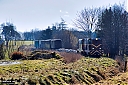 IMG_3459.jpg