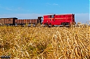 Nazwa pliku=IMG_3554-1.jpg
Wielkość pliku=952KiB
Rozmiar=1200x800
Data dodania= 31, Październik 2019 IMG_3554-1.jpg