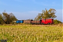 Nazwa pliku=IMG_3565-1.jpg
Wielkość pliku=994KiB
Rozmiar=1200x800
Data dodania= 31, Październik 2019 IMG_3565-1.jpg
