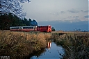 Nazwa pliku=IMG_3780a.jpg
Wielkość pliku=947KiB
Rozmiar=1200x800
Data dodania= 19, Październik 2018 IMG_3780a.jpg