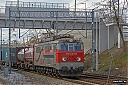 IMG_3855-1.jpg