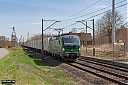 IMG_3960-1.jpg