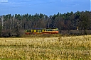 Nazwa pliku=IMG_4310a.jpg
Wielkość pliku=923KiB
Rozmiar=1200x800
Data dodania= 30, Sierpień 2018 IMG_4310a.jpg