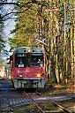 IMG_4373.jpg