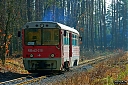 IMG_4385-1.jpg