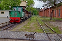 IMG_4473-1.jpg