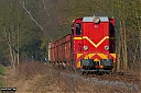 IMG_4530-1.jpg