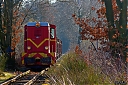 IMG_4578-1.jpg