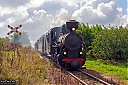 IMG_4761-1.jpg