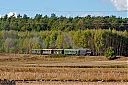 IMG_4859-1.jpg