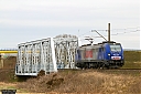 IMG_4955-1~0.jpg