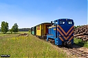 IMG_4966-1.jpg