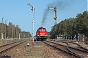 Nazwa pliku=IMG_4969-1.jpg
Wielkość pliku=989KiB
Rozmiar=1200x800
Data dodania= 06, Maj 2019 IMG_4969-1.jpg