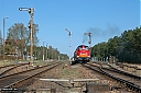 IMG_4972-1.jpg