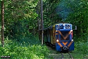IMG_5085-1.jpg
