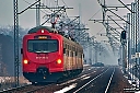 IMG_5233.jpg