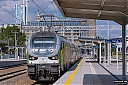 IMG_5238-1.jpg