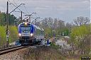 IMG_5247-1.jpg