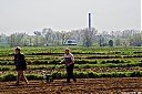 Nazwa pliku=IMG_5538-01.jpg
Wielkość pliku=217KiB
Rozmiar=900x600
Data dodania= 04, Wrzesień 2018 IMG_5538-01.jpg