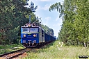 IMG_5657.jpg