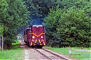 Nazwa pliku=IMG_5690-1a.jpg
Wielkość pliku=990KiB
Rozmiar=1200x800
Data dodania= 15, Sierpień 2018 IMG_5690-1a.jpg