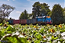 Nazwa pliku=IMG_5755.jpg
Wielkość pliku=972KiB
Rozmiar=1200x800
Data dodania= 15, Sierpień 2018 IMG_5755.jpg