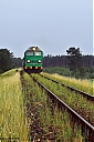 IMG_6342-01~0.jpg