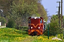 Nazwa pliku=IMG_6415c.jpg
Wielkość pliku=895KiB
Rozmiar=1024x683
Data dodania= 20, Październik 2018 IMG_6415c.jpg