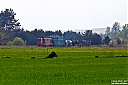 Nazwa pliku=IMG_6438a.jpg
Wielkość pliku=854KiB
Rozmiar=1024x683
Data dodania= 20, Październik 2018 IMG_6438a.jpg