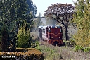 Nazwa pliku=IMG_6541-2.jpg
Wielkość pliku=999KiB
Rozmiar=1200x800
Data dodania= 11, Listopad 2018 IMG_6541-2.jpg